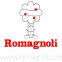 Franco Romagnoli & C., Представительство В России