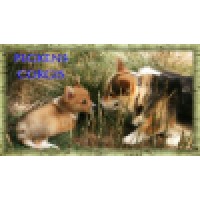 Pegkens Cats and Dogs
