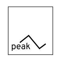 PeakZ.Media logo - Similar company to Stichsolar