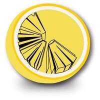 Lemon Language School logo - Similar company to Metalab.Ge