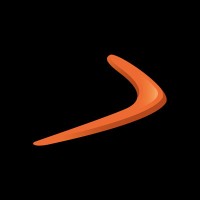 Boomerang DM logo - Similar company to Ronk Communications