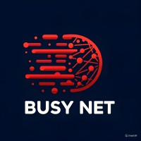 Busy Net logo - Similar company to Safeken