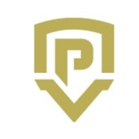 Petro Valve logo - Similar company to Precision Pump & Valve Llc