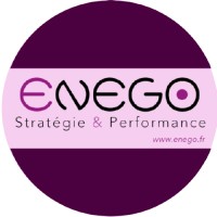 ENEGO | Data Driven Marketing Strategies logo - Similar company to Enego