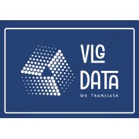 VLG DATA INDIA PVT LTD logo - Similar company to Breach Interactive Ltd.