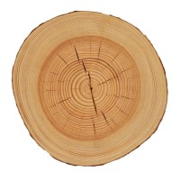 Wydział Leśny i Technologii Drewna logo - Similar company to Ubm Development Polska