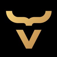 Vinix Code logo - Similar company to Softux