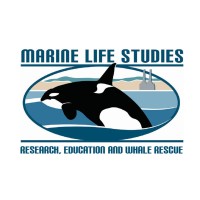 MARINE LIFE STUDIES logo - Similar company to Biologica Environmental Services Ltd.