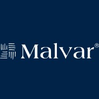 Malvar Controls, Lda. logo - Similar company to Engvirtual