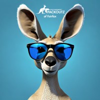 Blue Kangaroo Packoutz of Fairfax logo - Similar company to Icat Solutions Inc.