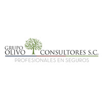 Grupo Olivo Consultores S. C. logo - Similar company to Beauty 4U