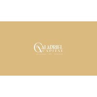 Syrena Capital logo - Similar company to Luma Ventures