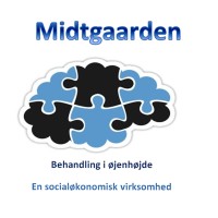DSI Midtgaarden logo - Similar company to Dsi Springbrættet