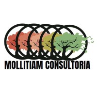 MOLLITIAM Consultoria LTDA logo - Similar company to Coach Ciso