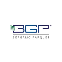 BGP Group s.r.l. logo - Similar company to Opsouth.Com