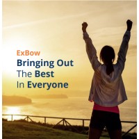 Exbow Limited