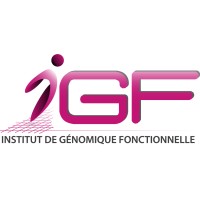 Institut de Génomique Fonctionnelle - IGF logo - Similar company to Cermn Centre D'Etudes Et De Recherche Sur Le Médicament De Normandie