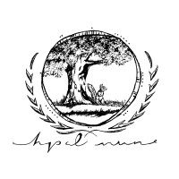 Haydarpaşa High School MUN Club logo - Similar company to Haydarpaşa Entrepreneurship Club