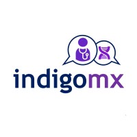INDIGOmx logo - Similar company to Ambedo Marketing Llc