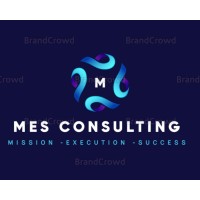 MES Consulting LLC