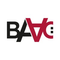 BAAC bv logo - Similar company to The Missing Link