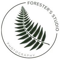 Forester's Studio logo - Similar company to Dyador