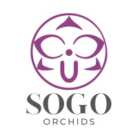 SOGO Orchids logo - Similar company to Foison Tech Ltd.