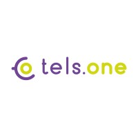 Telsone S.r.l. logo - Similar company to Pong Lab