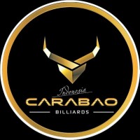 Carabao Billiards Indonesia logo - Similar company to Scous