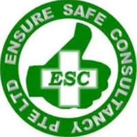Ensure Safe Consultancy Pte Ltd logo - Similar company to Nanlogical Consultancy Services Pvt Ltd