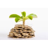 Money Plant logo - Similar company to Dcf Financial Services Pvt Ltd