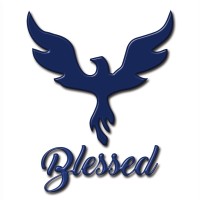 Egyptian American Clothing Company logo - Similar company to Aboulgoud For Men'S Suits