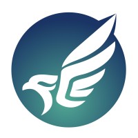 Falcon Cleaning logo - Similar company to Im Solutions