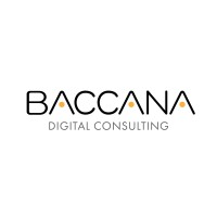 Baccana Digital Consulting logo - Similar company to Flizar Infotech