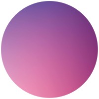 Chorus NZ Limited logo - Similar company to One New Zealand