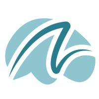 Numinous logo - Similar company to Science To Data Science (S2Ds)