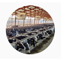 Western Cow Comfort logo - Similar company to Inbarn Solutions Inc.