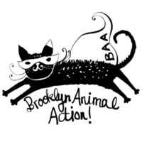 Brooklyn Animal Action logo - Similar company to Sg27