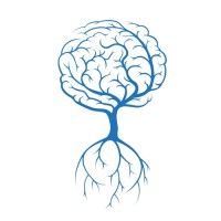 Optimal Revenue Solutions