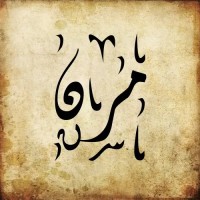 Marin Technology (شركة التكنولوجيا المرنة) logo - Similar company to Trucksgo