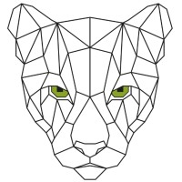 Panther Built Homes logo - Similar company to Pricing Engine Inc.