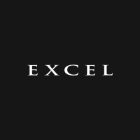 EXCEL logo - Similar company to Human Concierge Logística