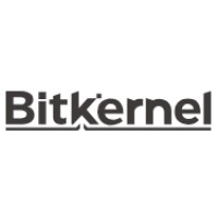 BitKernel logo - Similar company to Optnet (Thailand) Limited