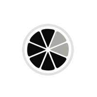 Digital.lemon logo - Similar company to Express Systems Integration (Esi)