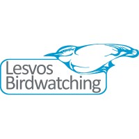 Lesvos Birdwatching