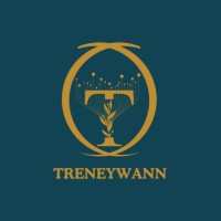 Treneywann Technologies and Managememt logo - Similar company to Ephphatha Softech