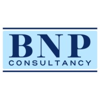 BNP Consultancy logo - Similar company to Vmacro Management Consultancy