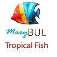 MaryBul Tropical Fish Store logo - Similar company to Panafrique Re