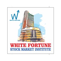 White Fortune Financial Institute logo - Similar company to Bolo Bharat