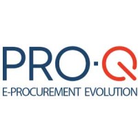 PRO-Q logo - Similar company to Bizzarro Web Group